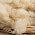 Wool Fibre