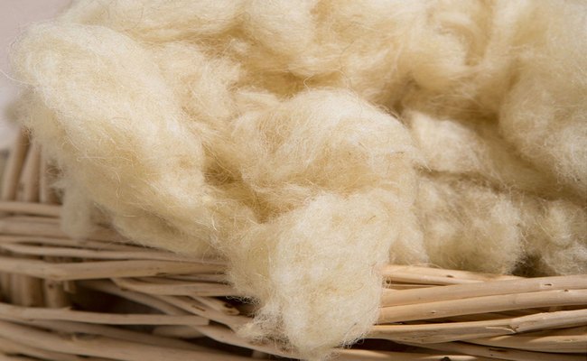 Wool Fibre